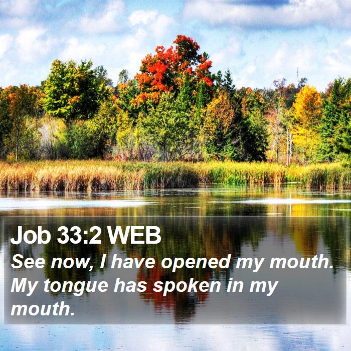 Job 33:2 WEB Bible Study