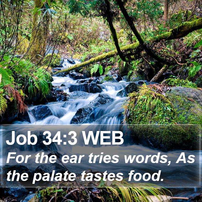 Job 34:3 WEB Bible Study