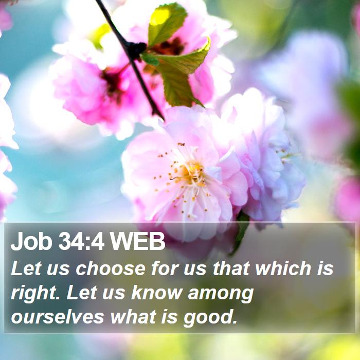 Job 34:4 WEB Bible Study