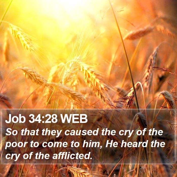 Job 34:28 WEB Bible Study