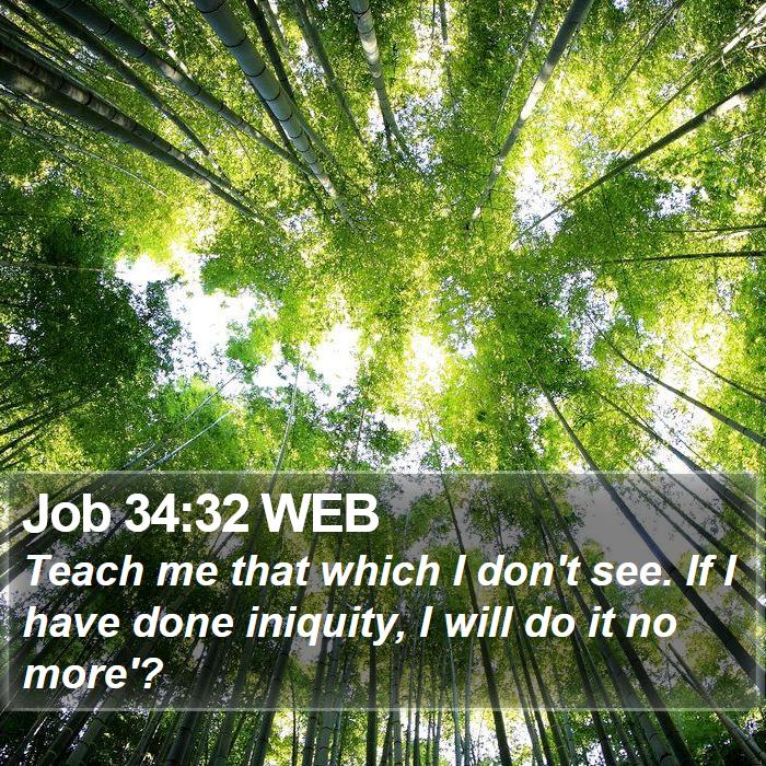 Job 34:32 WEB Bible Study