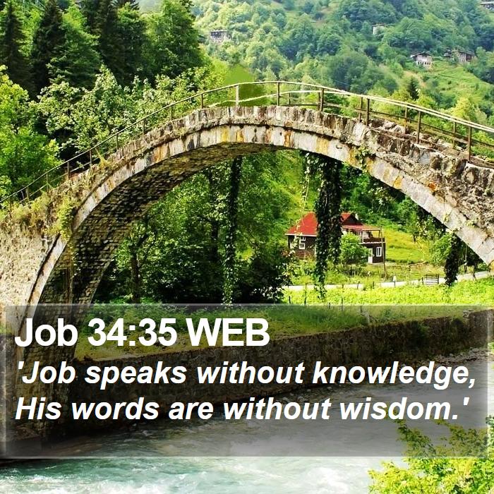 Job 34:35 WEB Bible Study