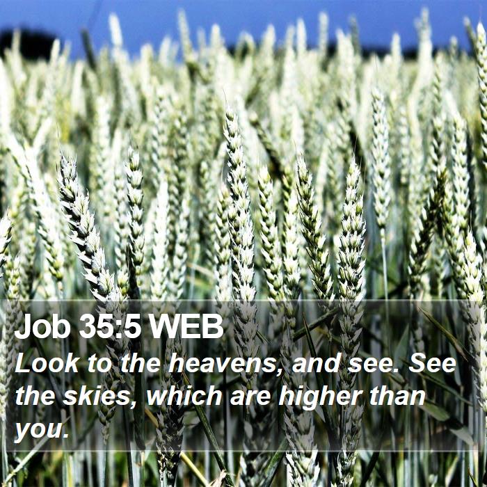 Job 35:5 WEB Bible Study