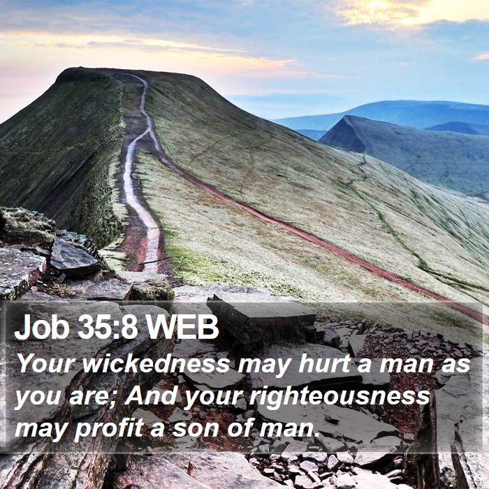 Job 35:8 WEB Bible Study