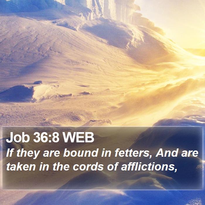 Job 36:8 WEB Bible Study