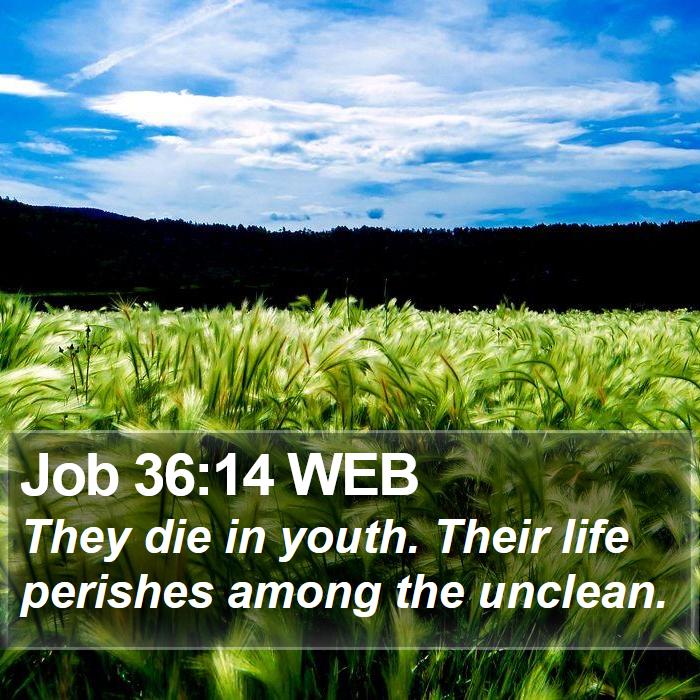 Job 36:14 WEB Bible Study