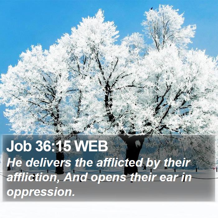 Job 36:15 WEB Bible Study