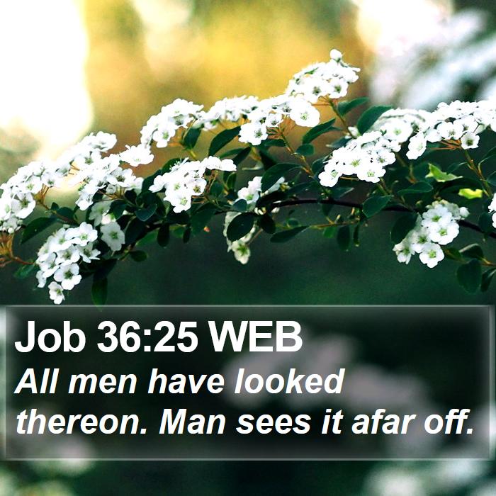 Job 36:25 WEB Bible Study