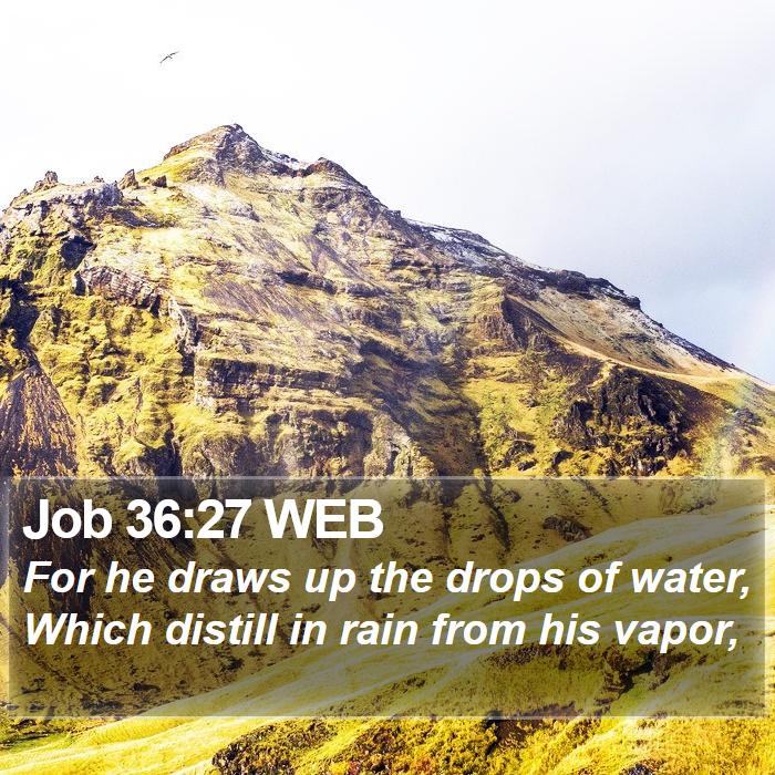 Job 36:27 WEB Bible Study