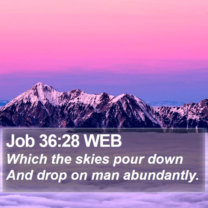 Job 36:28 WEB Bible Study