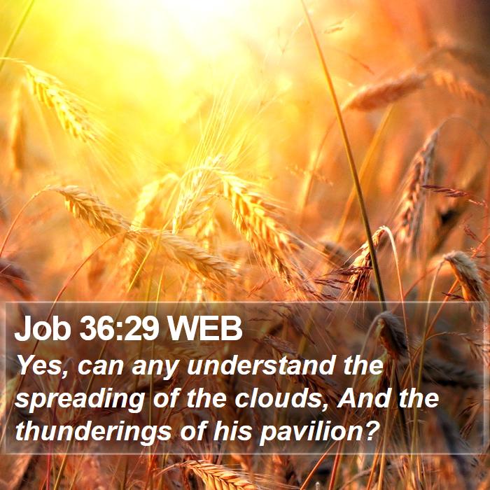 Job 36:29 WEB Bible Study