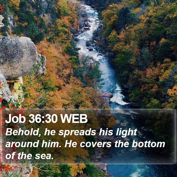 Job 36:30 WEB Bible Study