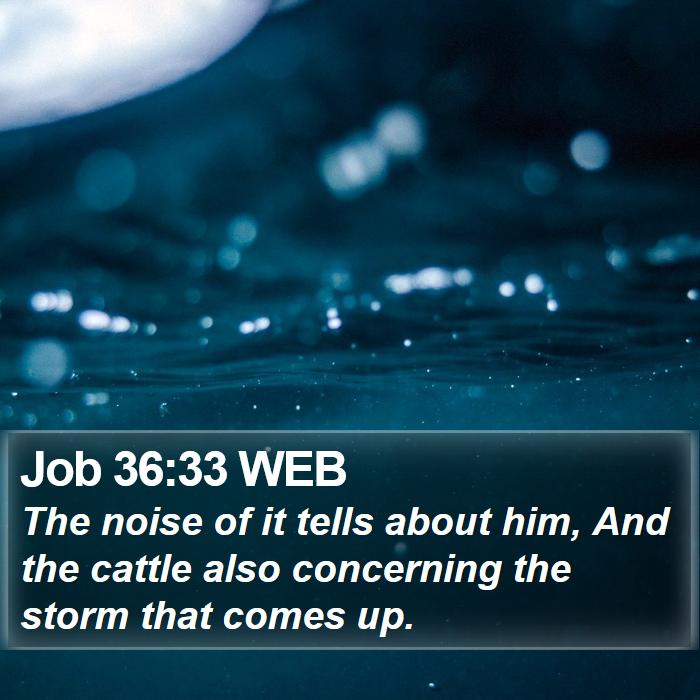 Job 36:33 WEB Bible Study