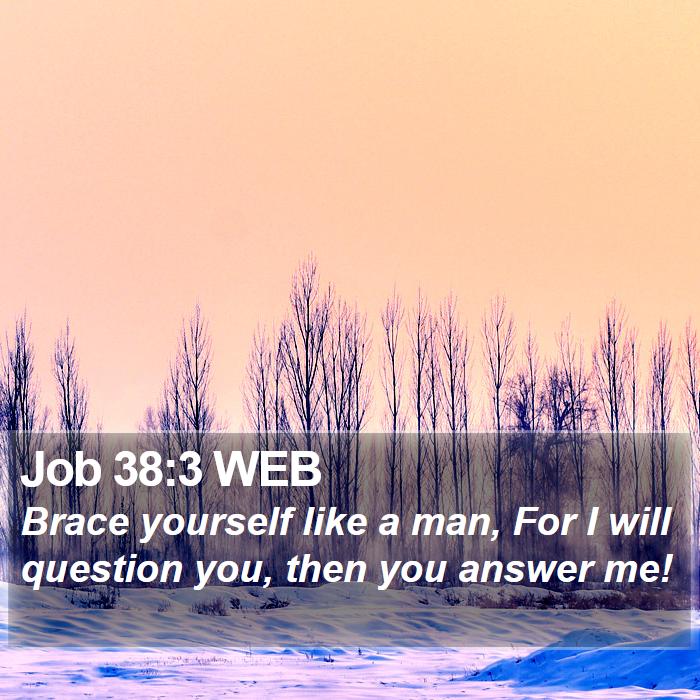 Job 38:3 WEB Bible Study