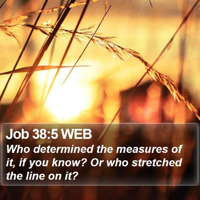 Job 38:5 WEB Bible Study