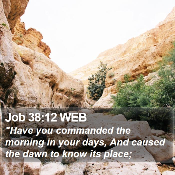 Job 38:12 WEB Bible Study