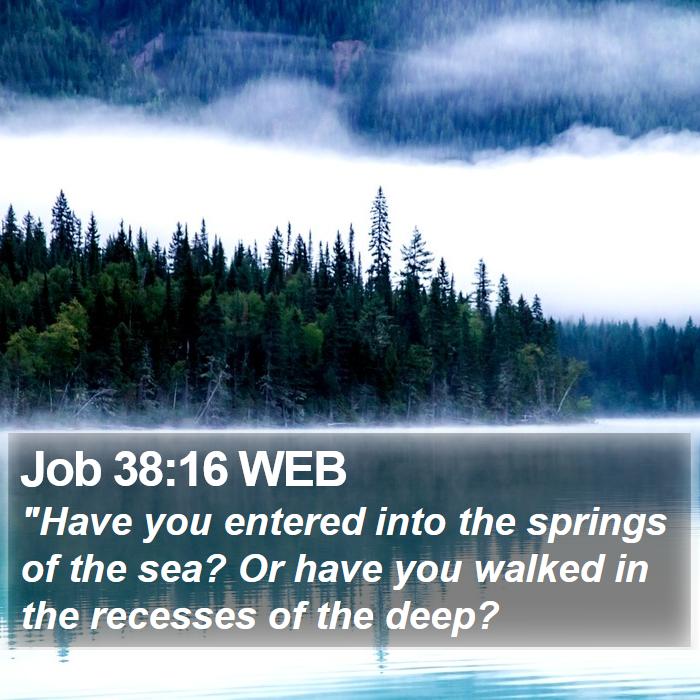 Job 38:16 WEB Bible Study