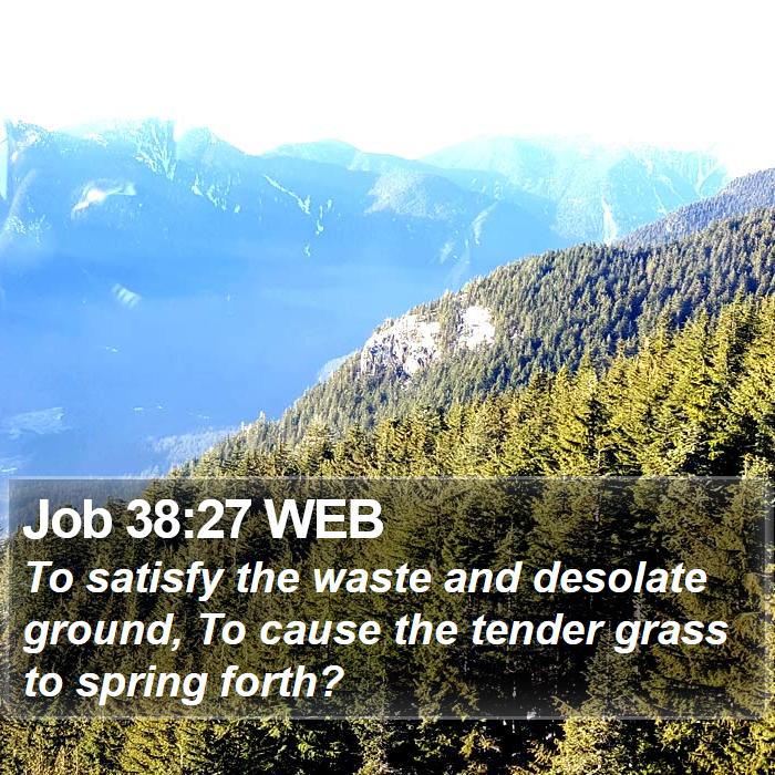 Job 38:27 WEB Bible Study