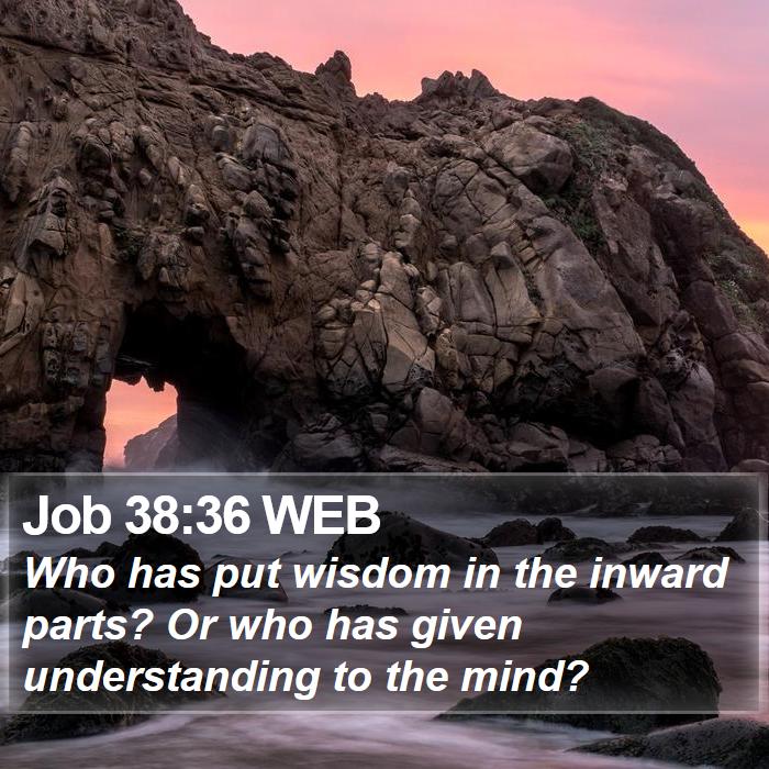 Job 38:36 WEB Bible Study