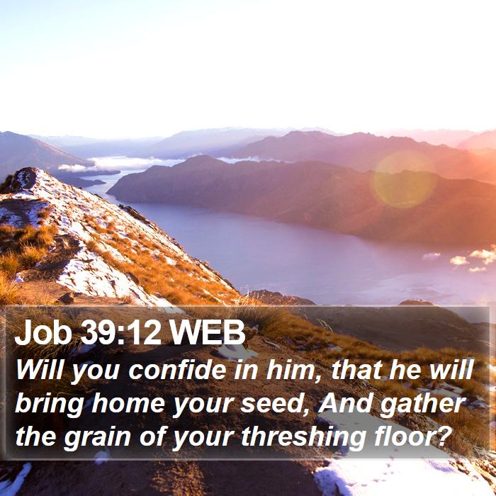 Job 39:12 WEB Bible Study