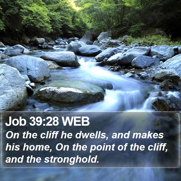 Job 39:28 WEB Bible Study