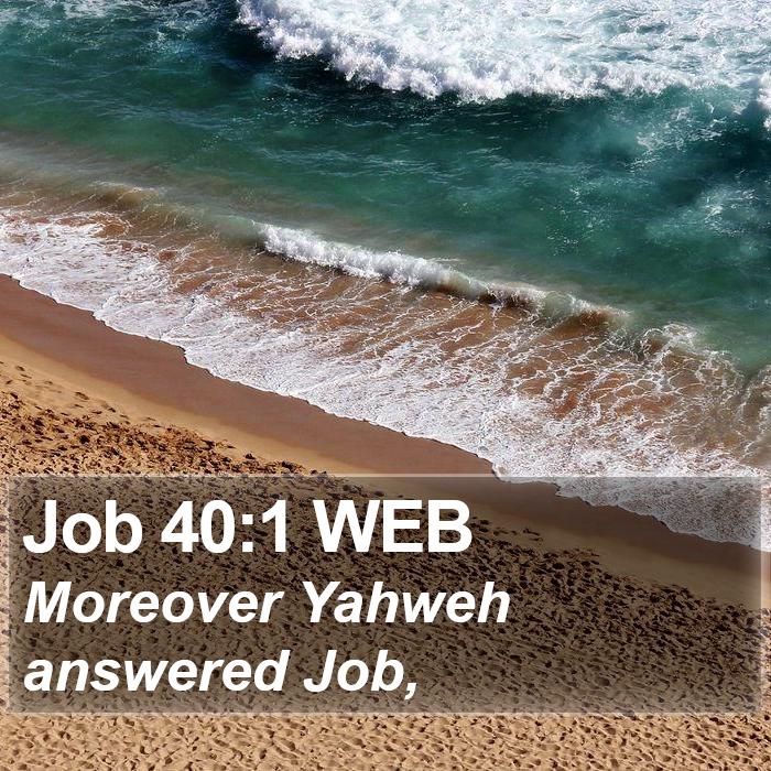 Job 40:1 WEB Bible Study