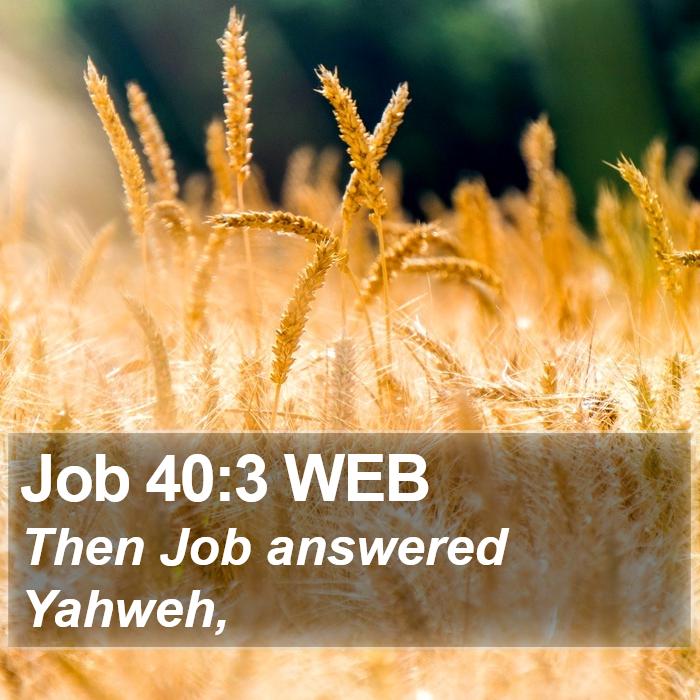 Job 40:3 WEB Bible Study