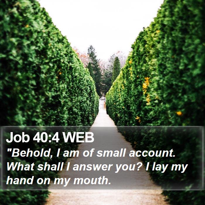 Job 40:4 WEB Bible Study