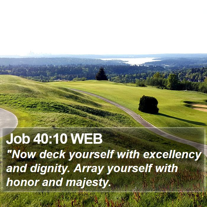 Job 40:10 WEB Bible Study