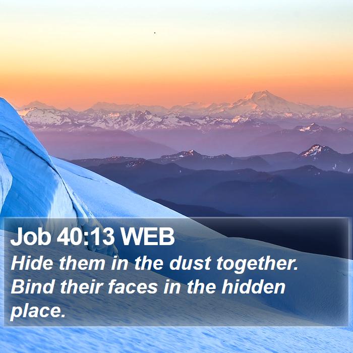 Job 40:13 WEB Bible Study