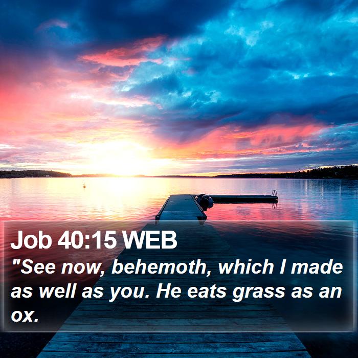 Job 40:15 WEB Bible Study