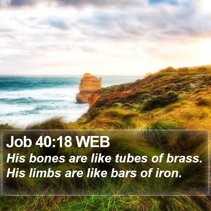 Job 40:18 WEB Bible Study