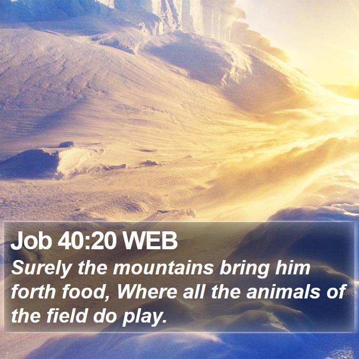 Job 40:20 WEB Bible Study