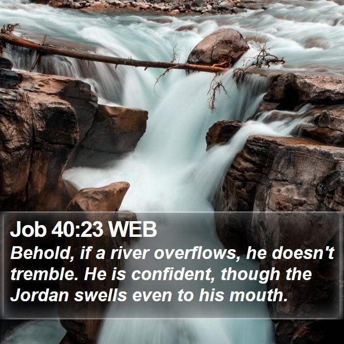 Job 40:23 WEB Bible Study