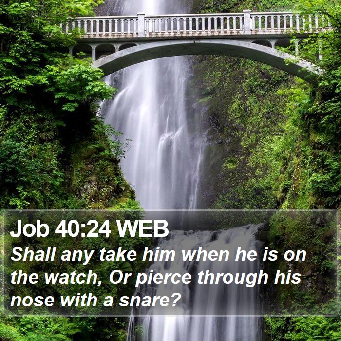 Job 40:24 WEB Bible Study