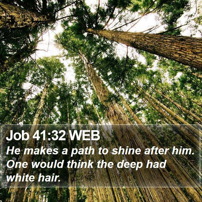 Job 41:32 WEB Bible Study