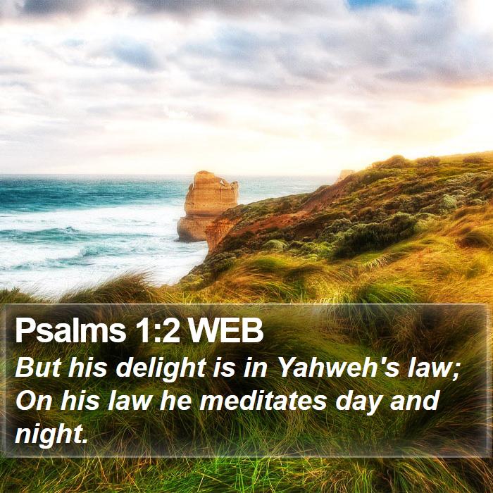 Psalms 1:2 WEB Bible Study