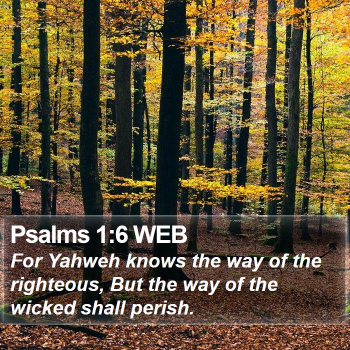 Psalms 1:6 WEB Bible Study