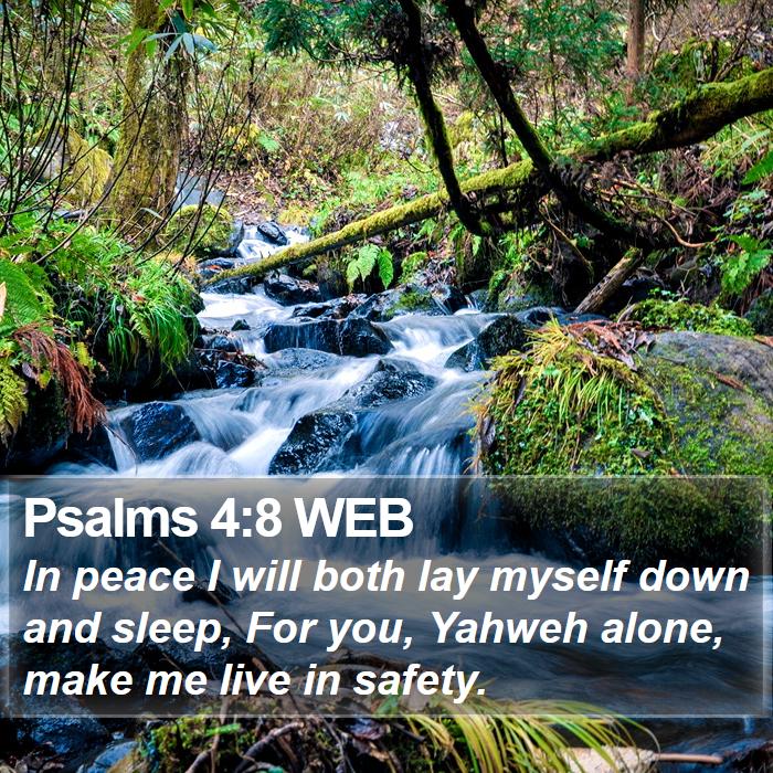 Psalms 4:8 WEB Bible Study