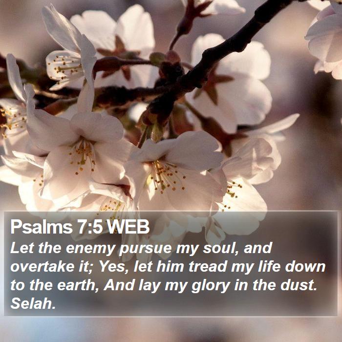 Psalms 7:5 WEB Bible Study