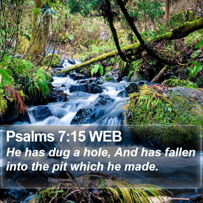 Psalms 7:15 WEB Bible Study