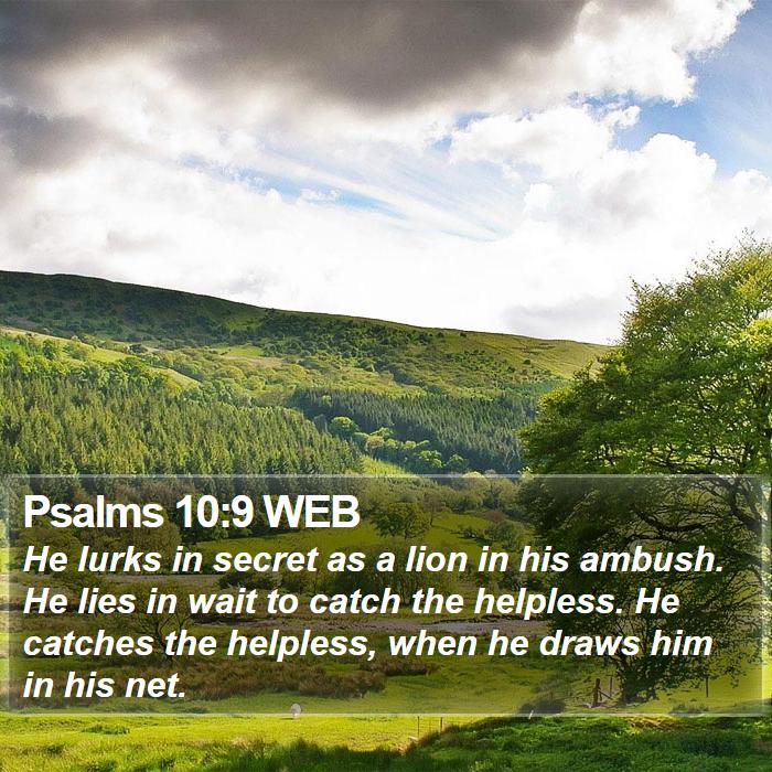 Psalms 10:9 WEB Bible Study