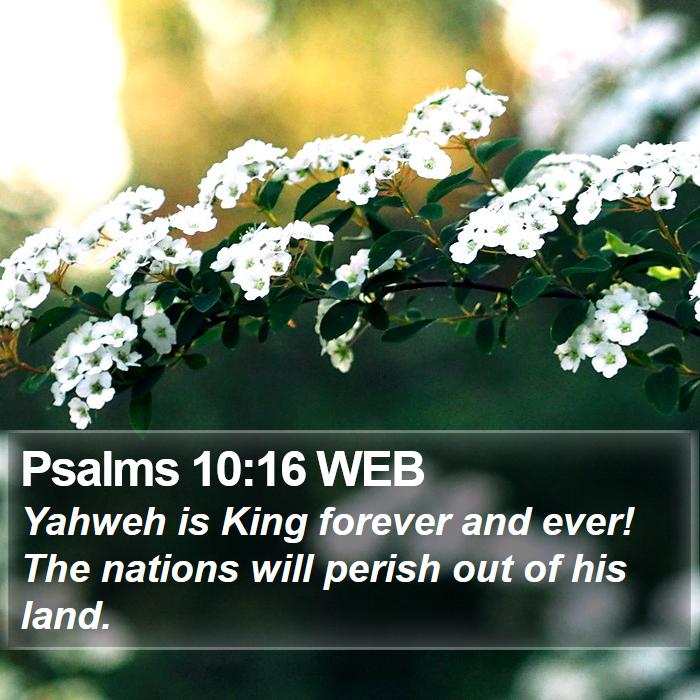 Psalms 10:16 WEB Bible Study