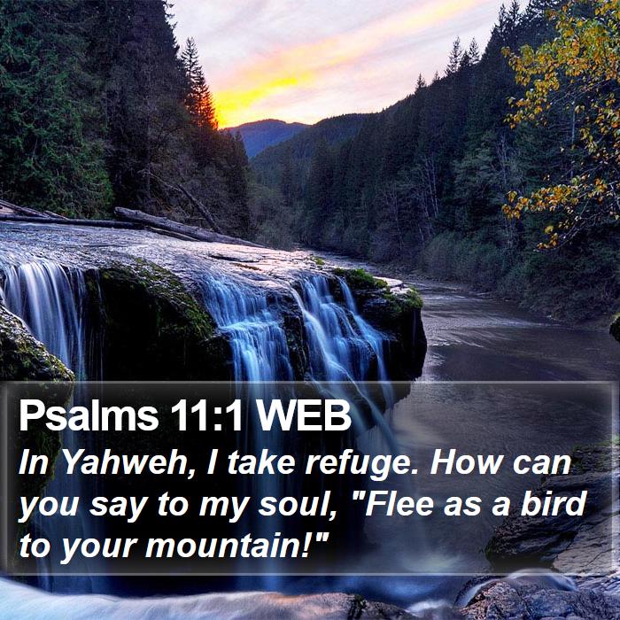 Psalms 11:1 WEB Bible Study