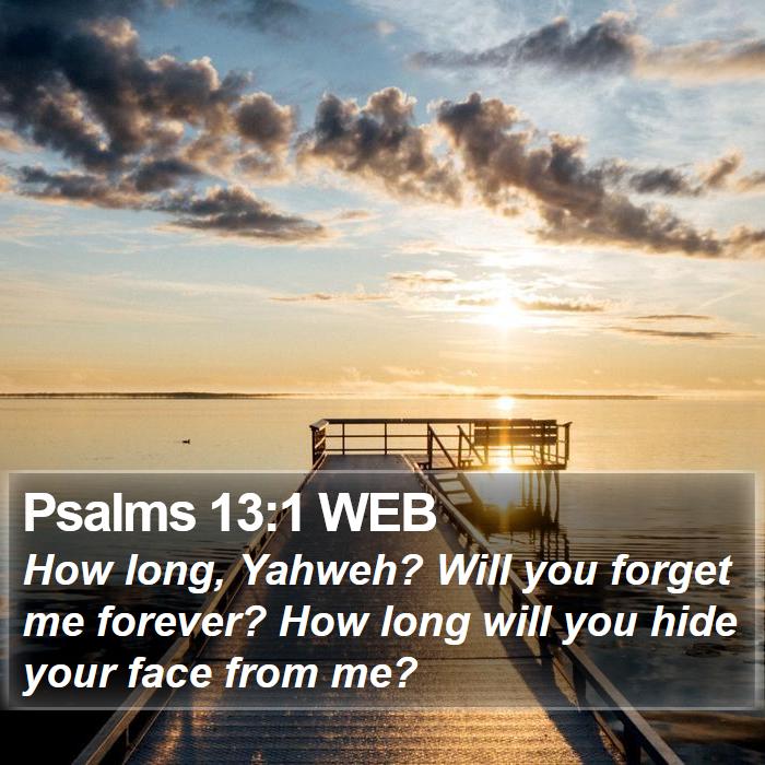 Psalms 13:1 WEB Bible Study