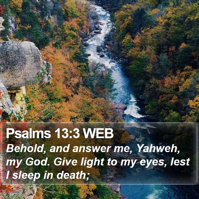 Psalms 13:3 WEB Bible Study