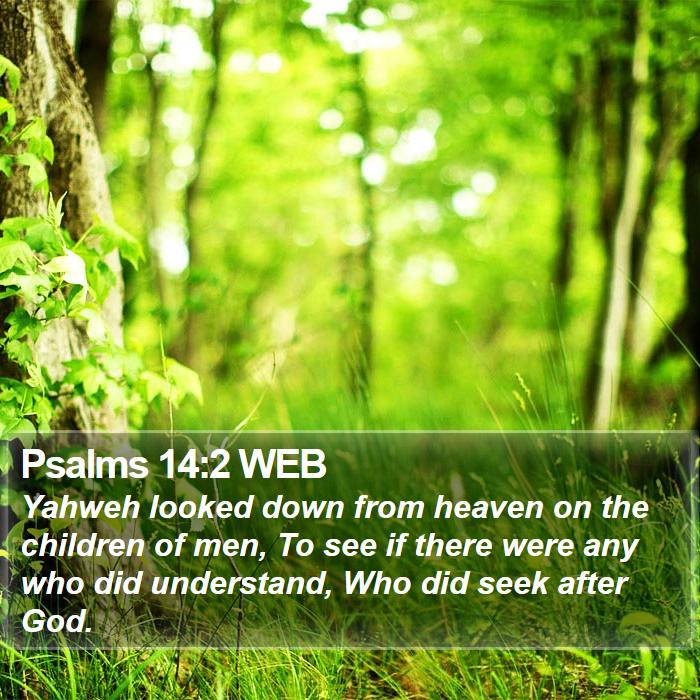 Psalms 14:2 WEB Bible Study