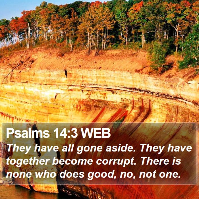 Psalms 14:3 WEB Bible Study