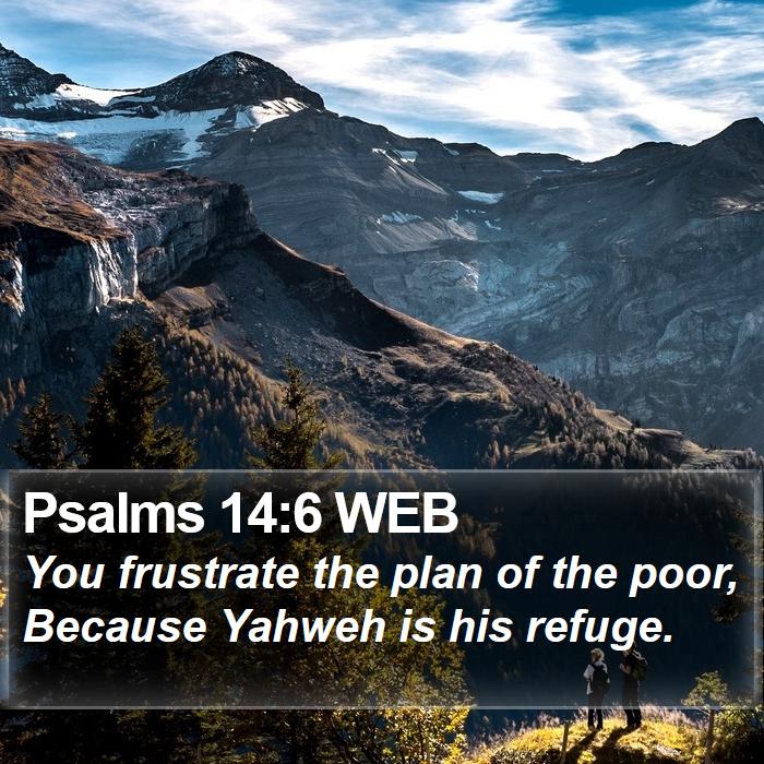 Psalms 14:6 WEB Bible Study