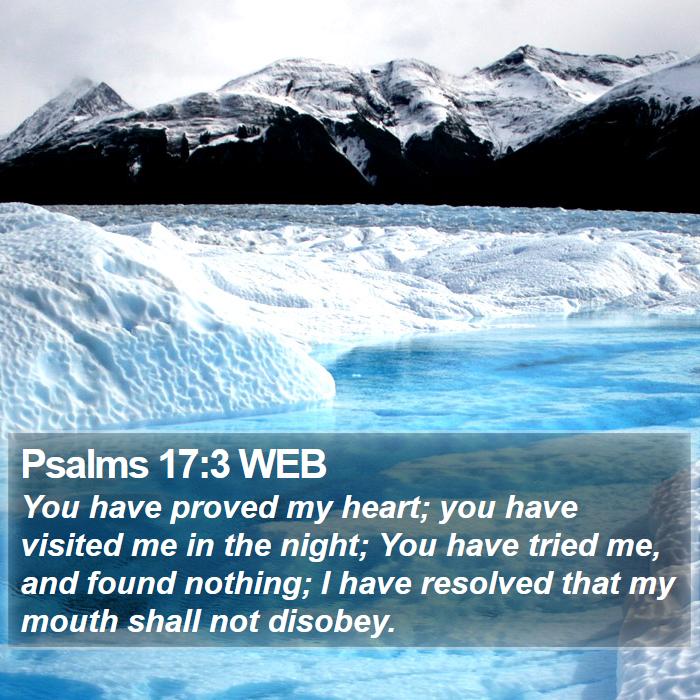 Psalms 17:3 WEB Bible Study